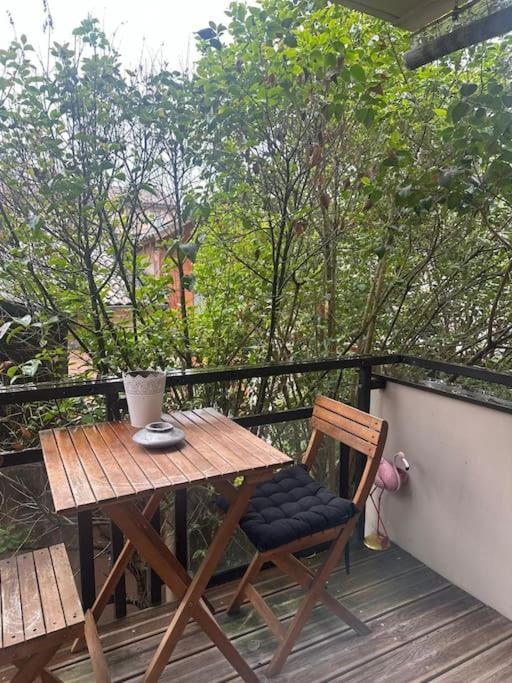 Апартаменты Jardin Des Plantes Parking Securise Terrasse Et Ascenseur Тулуза Экстерьер фото
