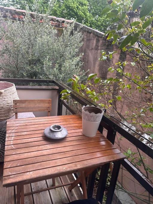 Апартаменты Jardin Des Plantes Parking Securise Terrasse Et Ascenseur Тулуза Экстерьер фото